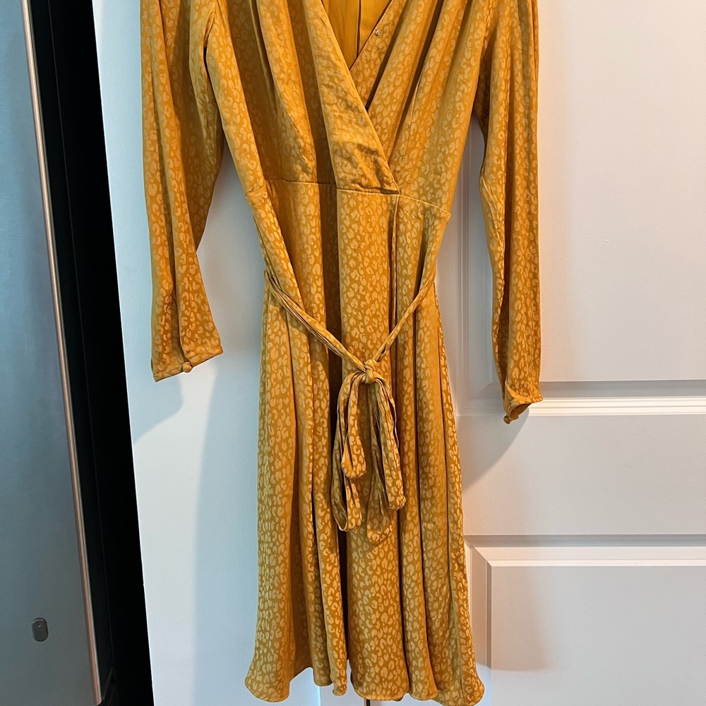 Ann Taylor satin dress